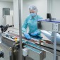 woman worker in protective clothing operating production of tablets in sterile environment